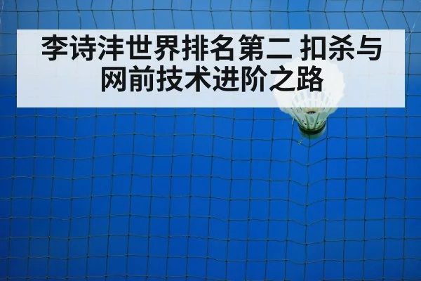 badminton net play